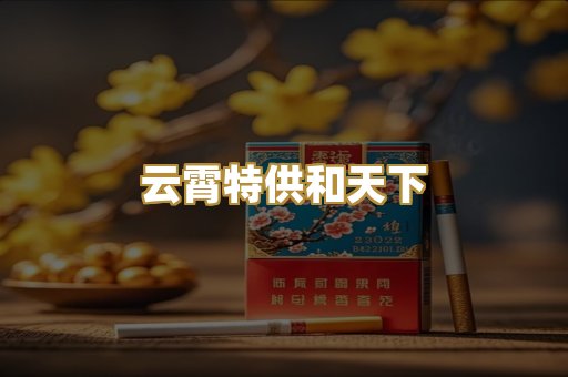 云霄特供和天下